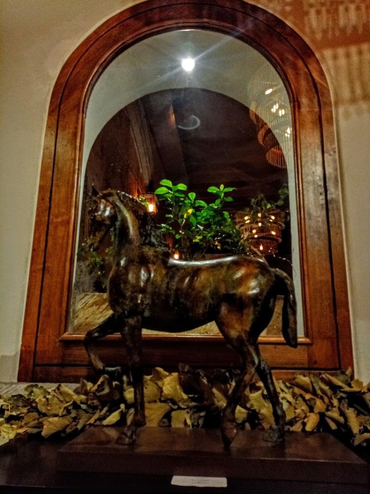 The Essentia Hotel San Miguel San Miguel de Allende Exterior foto